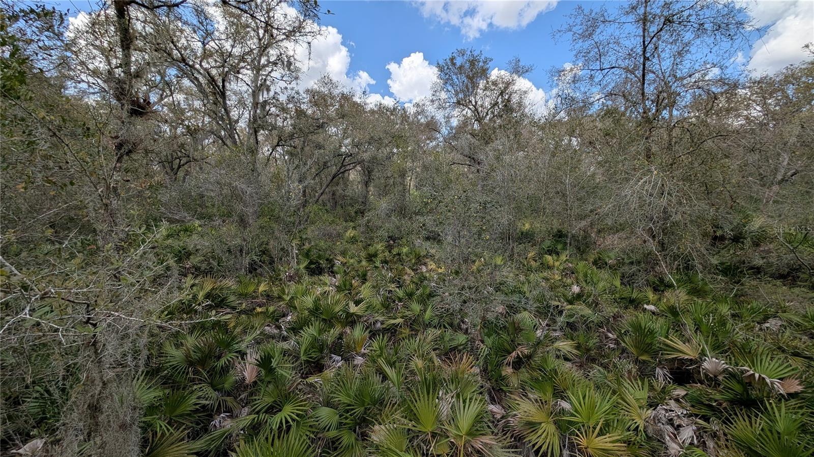 GILLETTE RD, ZOLFO SPRINGS, FL, 33890