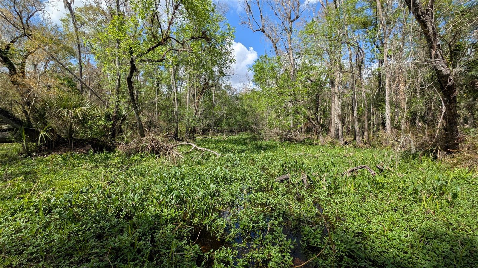 GILLETTE RD, ZOLFO SPRINGS, FL, 33890