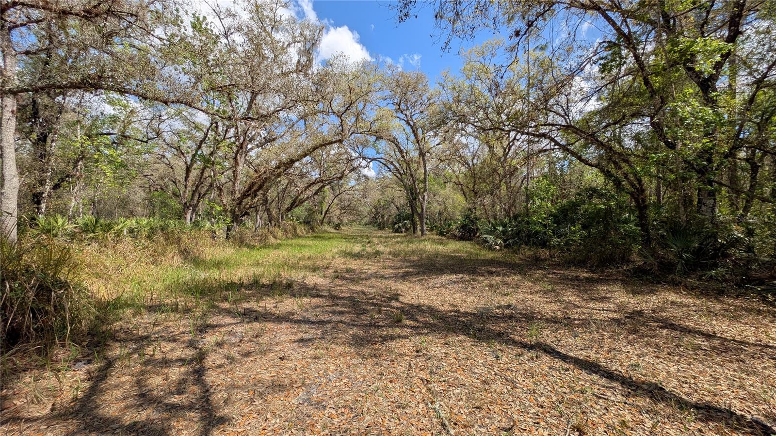 GILLETTE RD, ZOLFO SPRINGS, FL, 33890