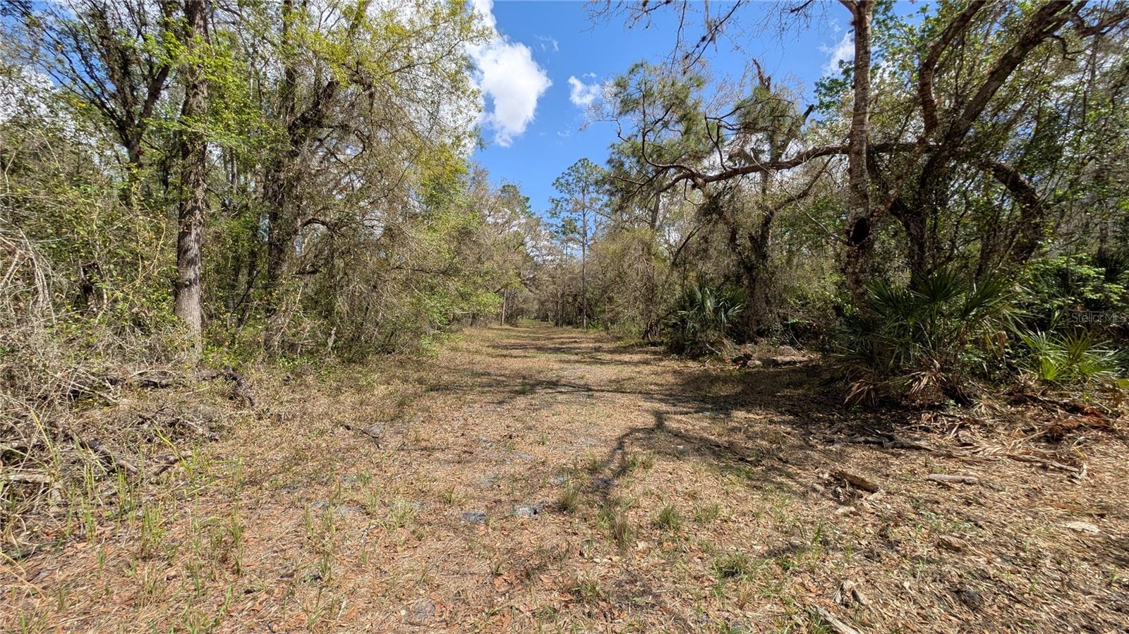 GILLETTE RD, ZOLFO SPRINGS, FL, 33890