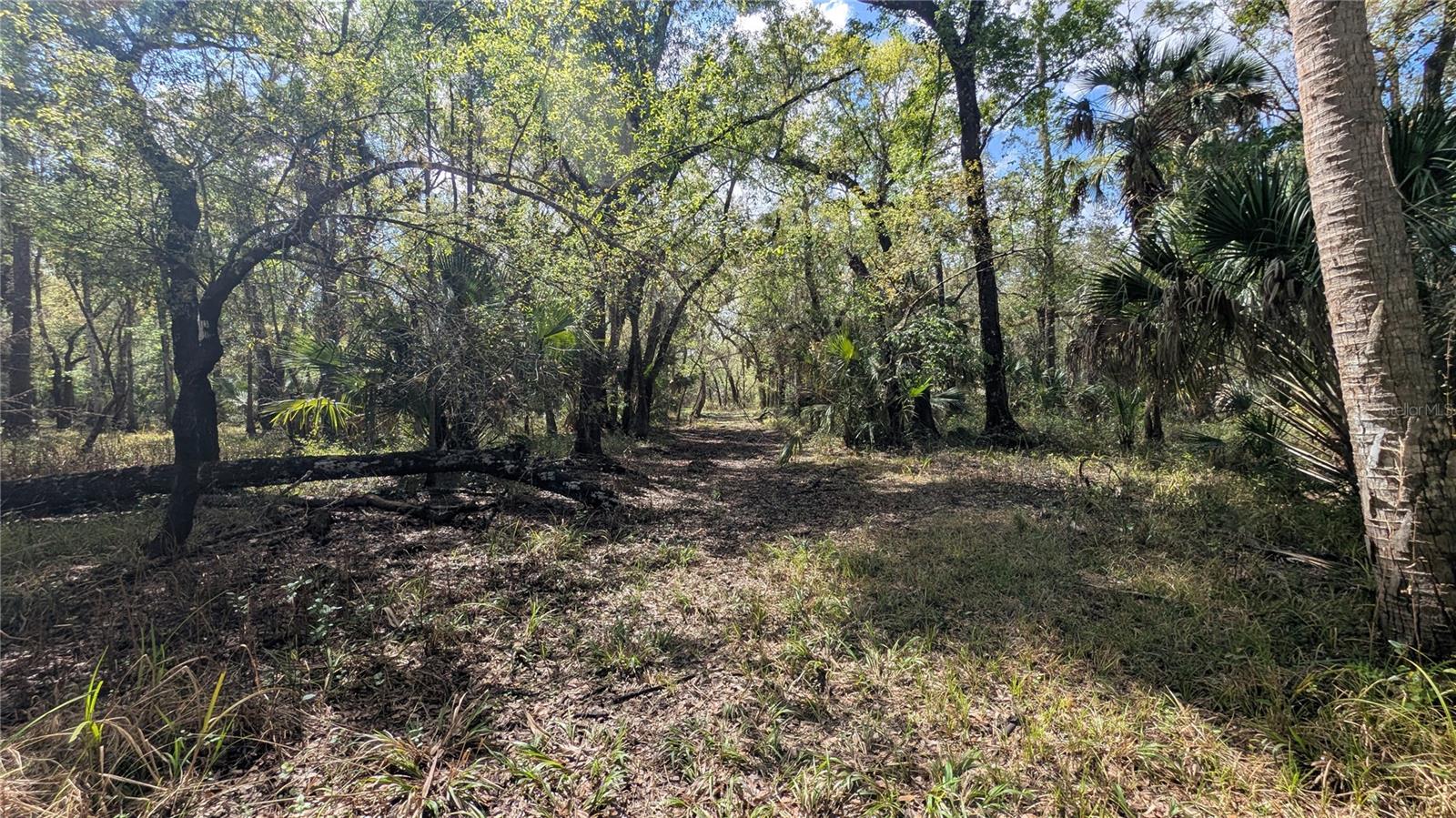 GILLETTE RD, ZOLFO SPRINGS, FL, 33890