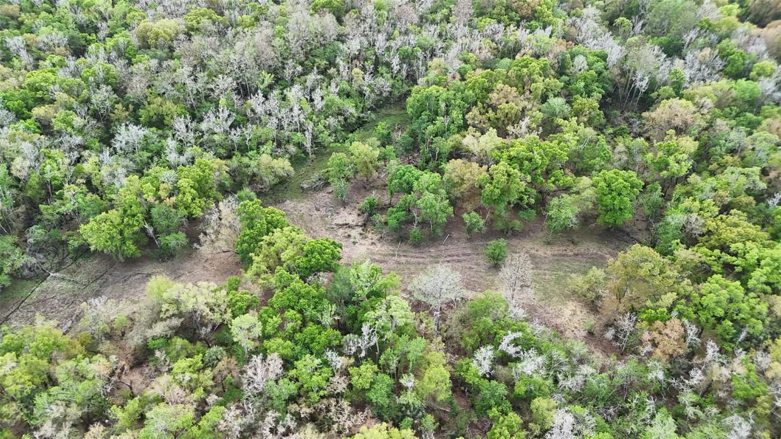 GILLETTE RD, ZOLFO SPRINGS, FL, 33890