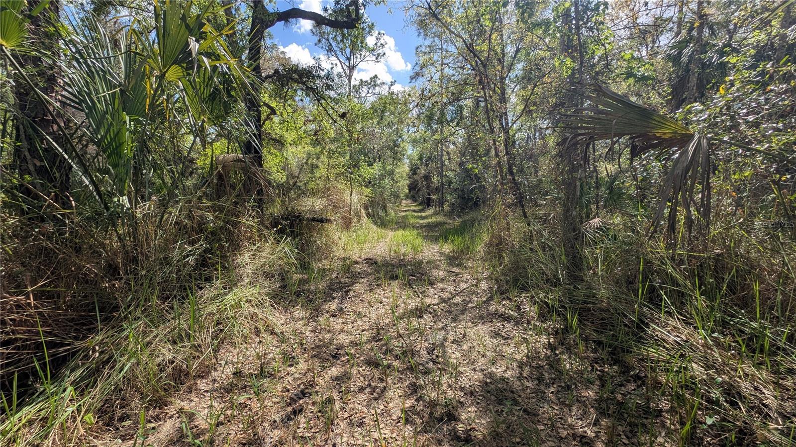 GILLETTE RD, ZOLFO SPRINGS, FL, 33890