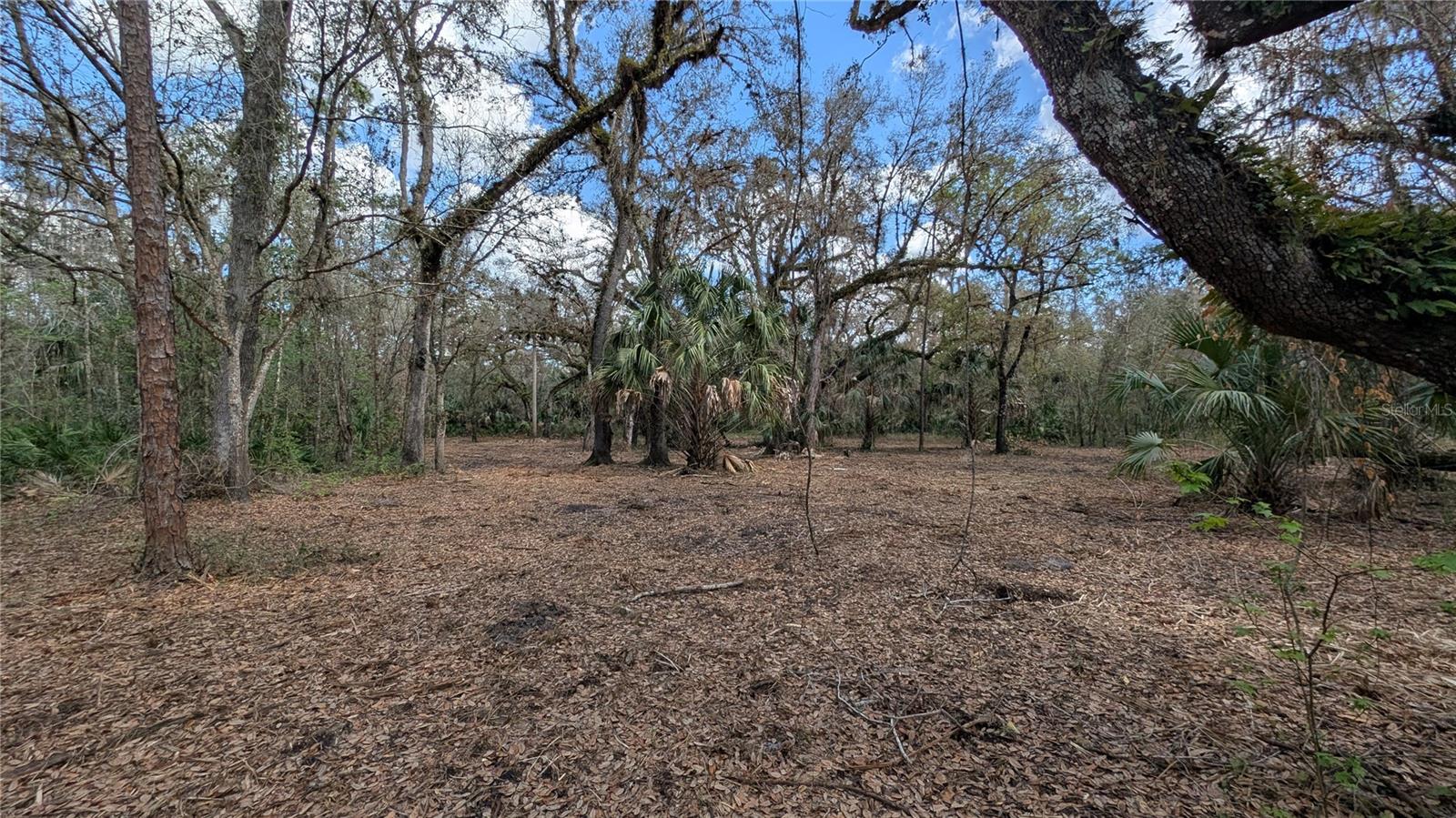 GILLETTE RD, ZOLFO SPRINGS, FL, 33890