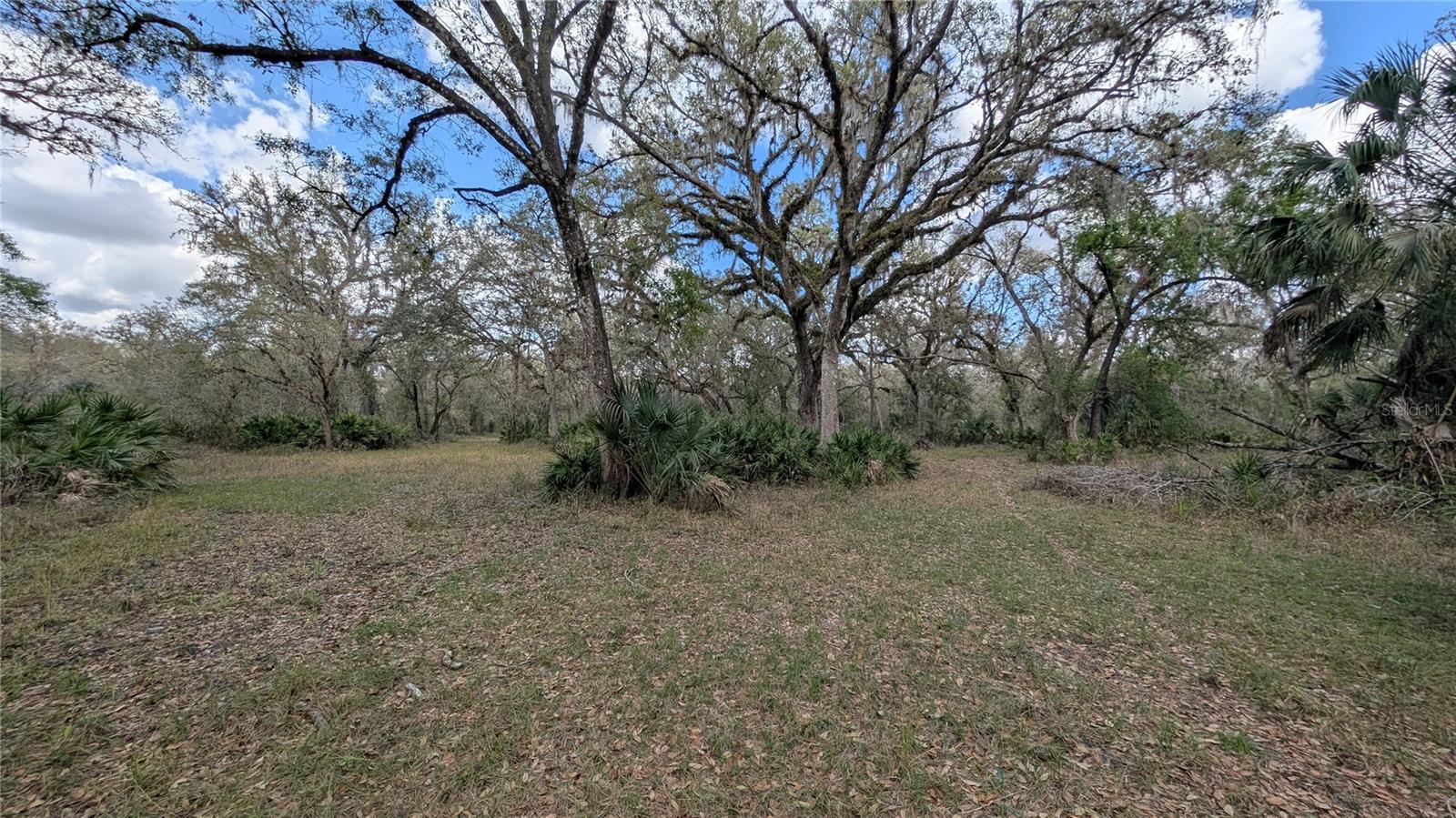 GILLETTE RD, ZOLFO SPRINGS, FL, 33890