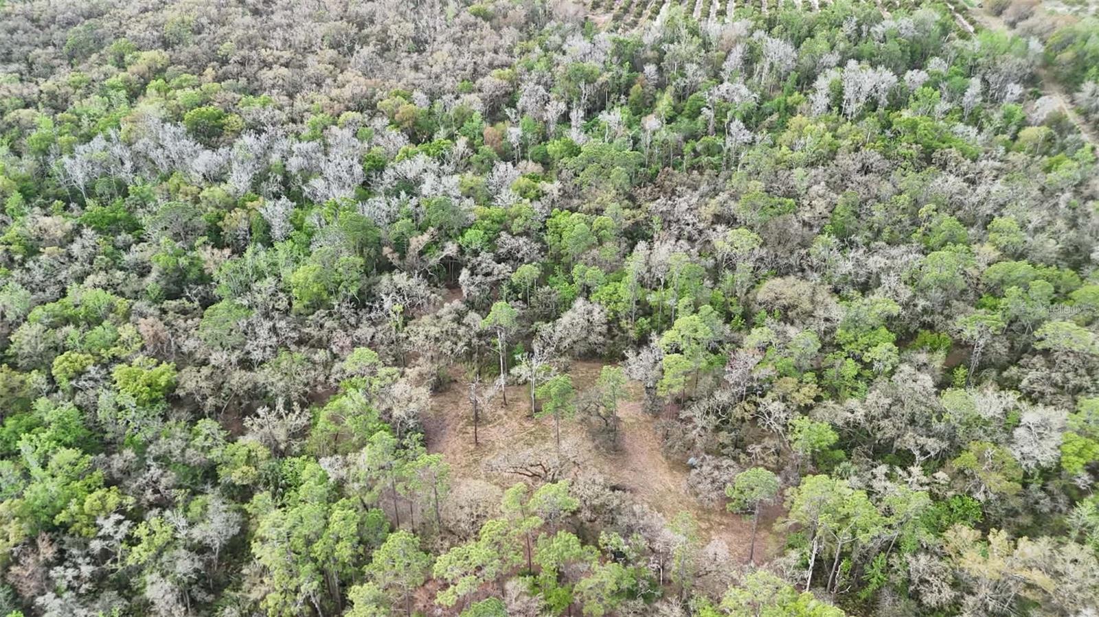 GILLETTE RD, ZOLFO SPRINGS, FL, 33890