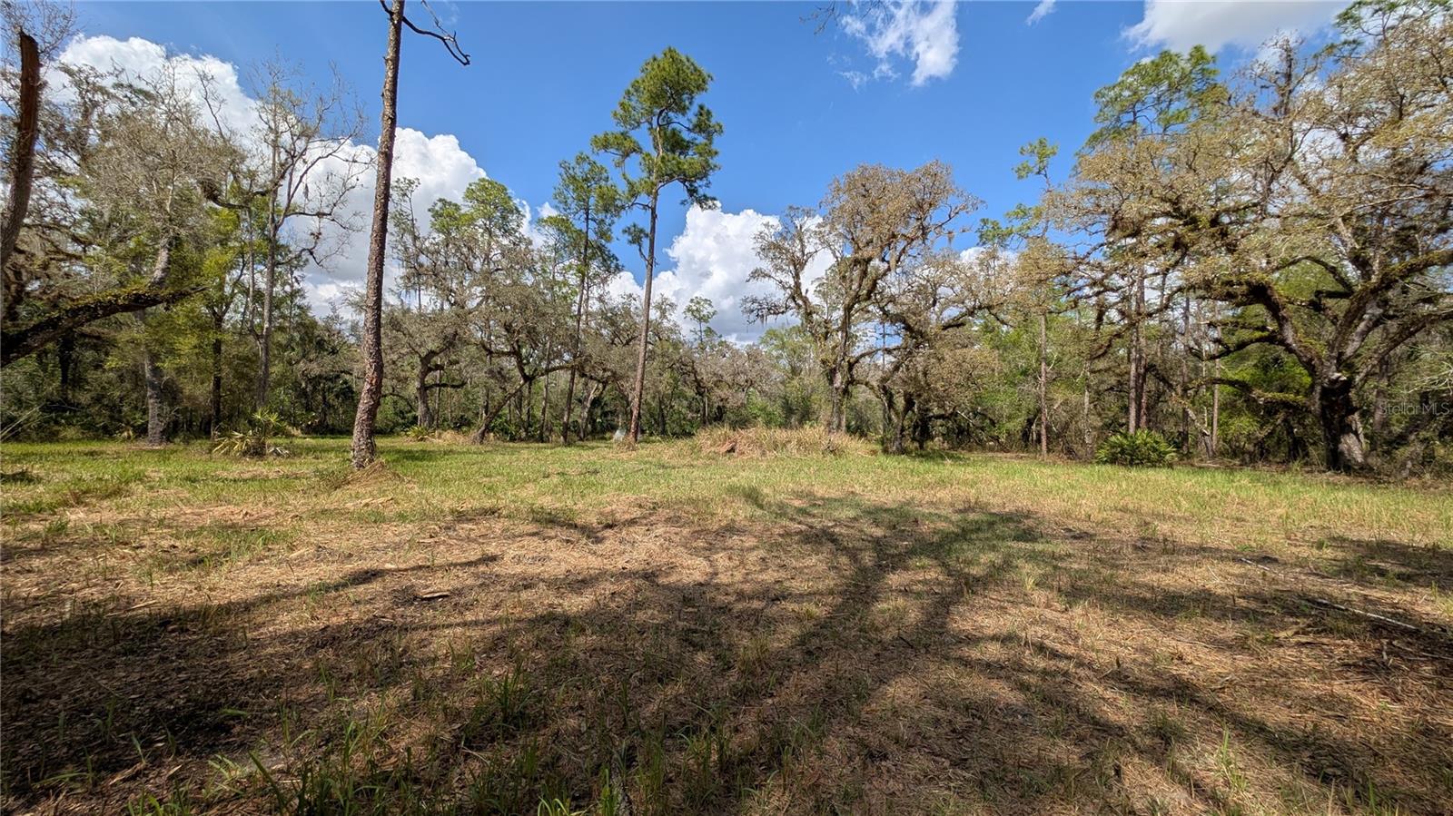 GILLETTE RD, ZOLFO SPRINGS, FL, 33890