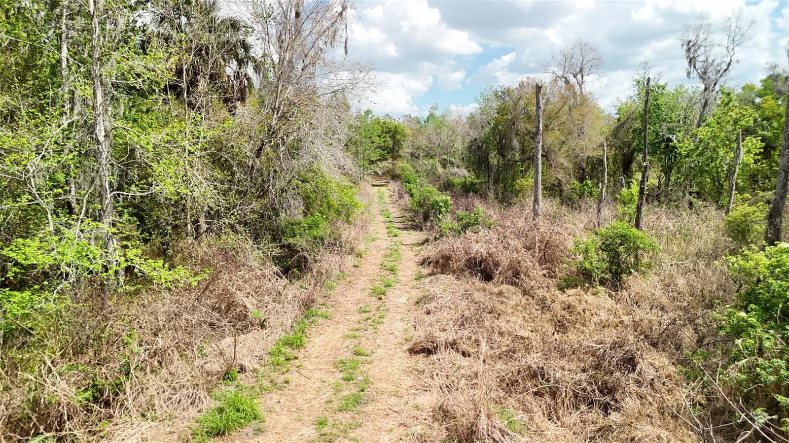 GILLETTE RD, ZOLFO SPRINGS, FL, 33890