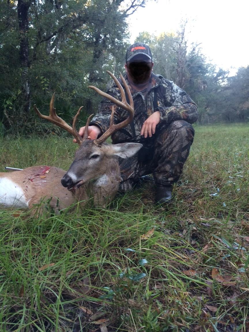 GILLETTE RD, ZOLFO SPRINGS, FL, 33890