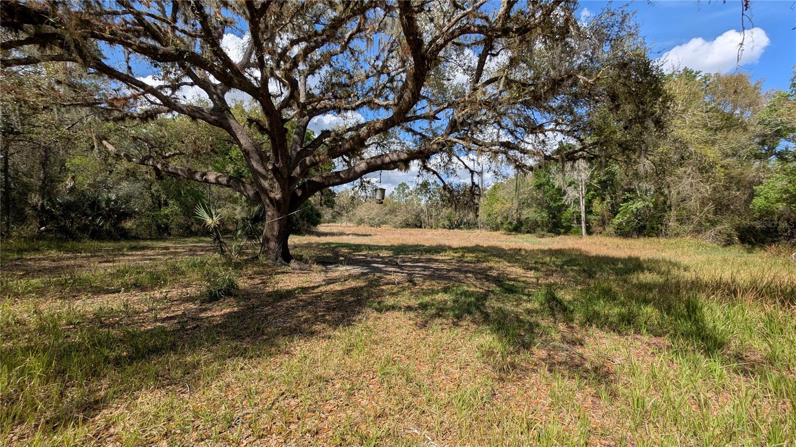 GILLETTE RD, ZOLFO SPRINGS, FL, 33890