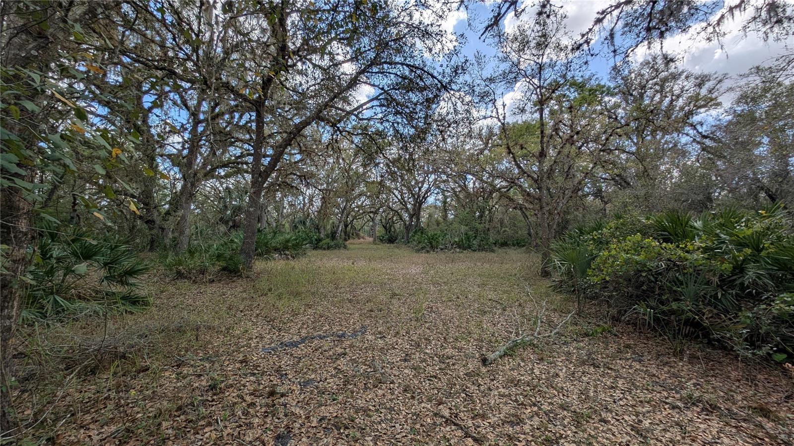 GILLETTE RD, ZOLFO SPRINGS, FL, 33890