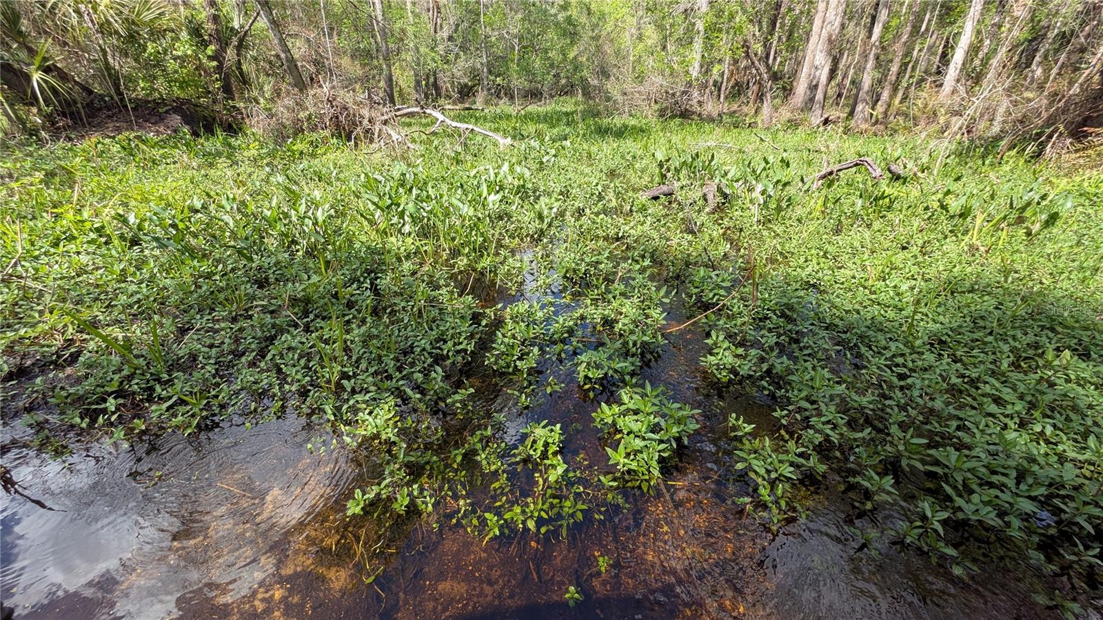 GILLETTE RD, ZOLFO SPRINGS, FL, 33890