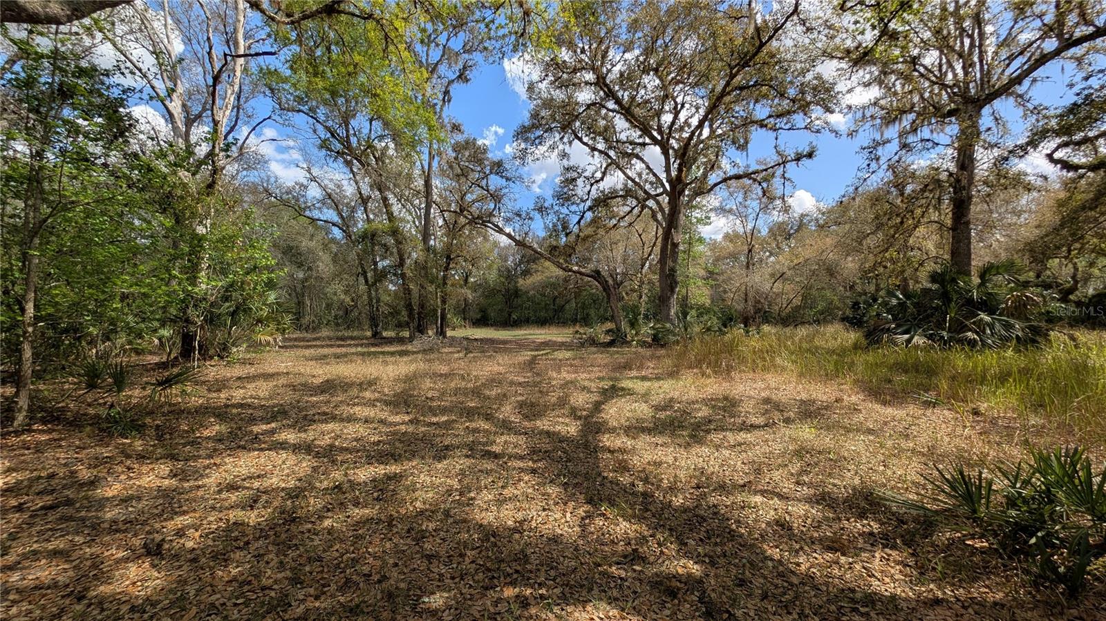 GILLETTE RD, ZOLFO SPRINGS, FL, 33890