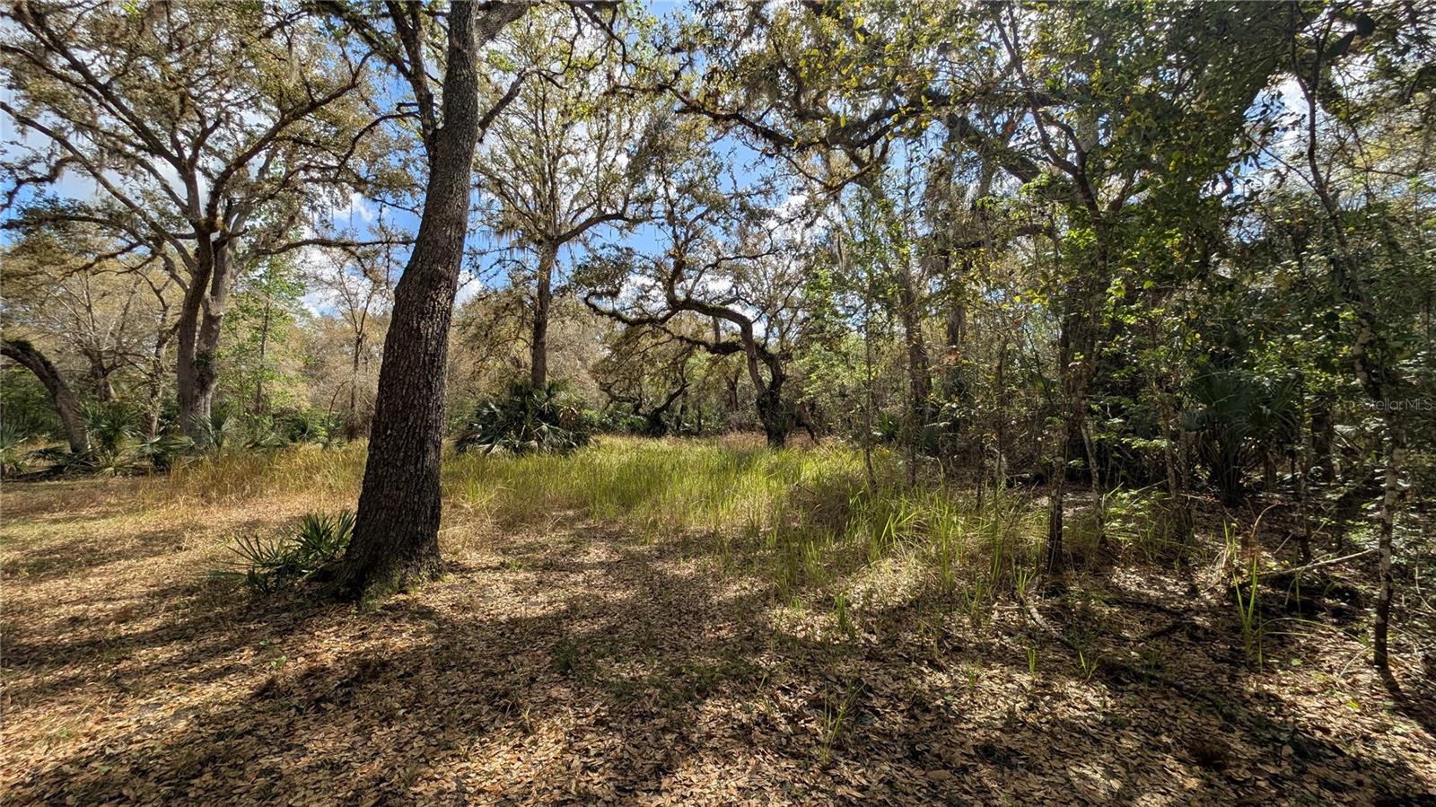 GILLETTE RD, ZOLFO SPRINGS, FL, 33890