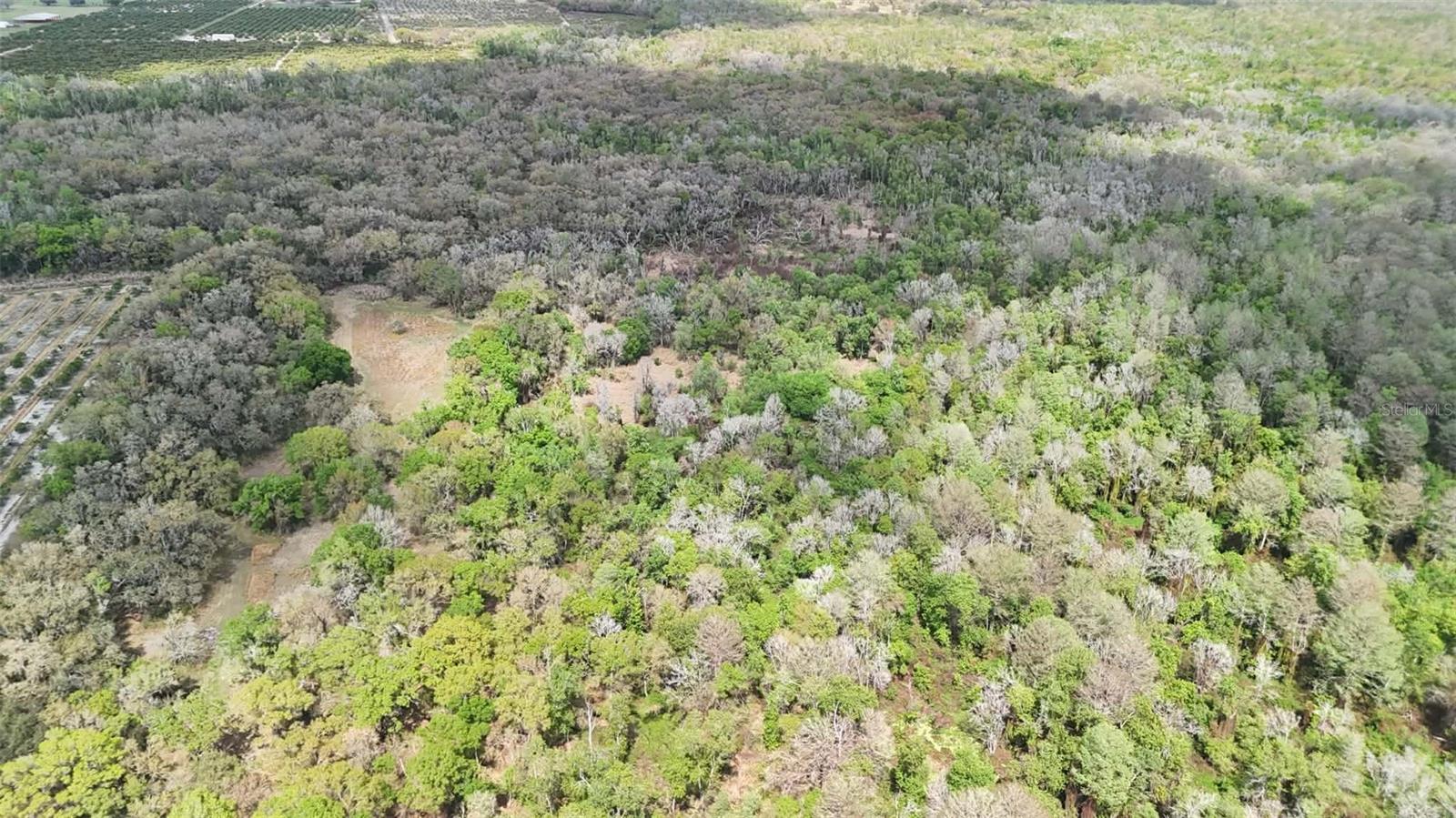 GILLETTE RD, ZOLFO SPRINGS, FL, 33890