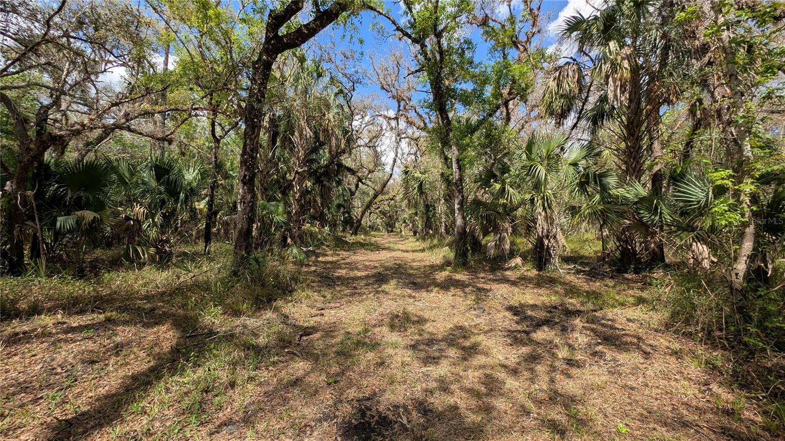 GILLETTE RD, ZOLFO SPRINGS, FL, 33890