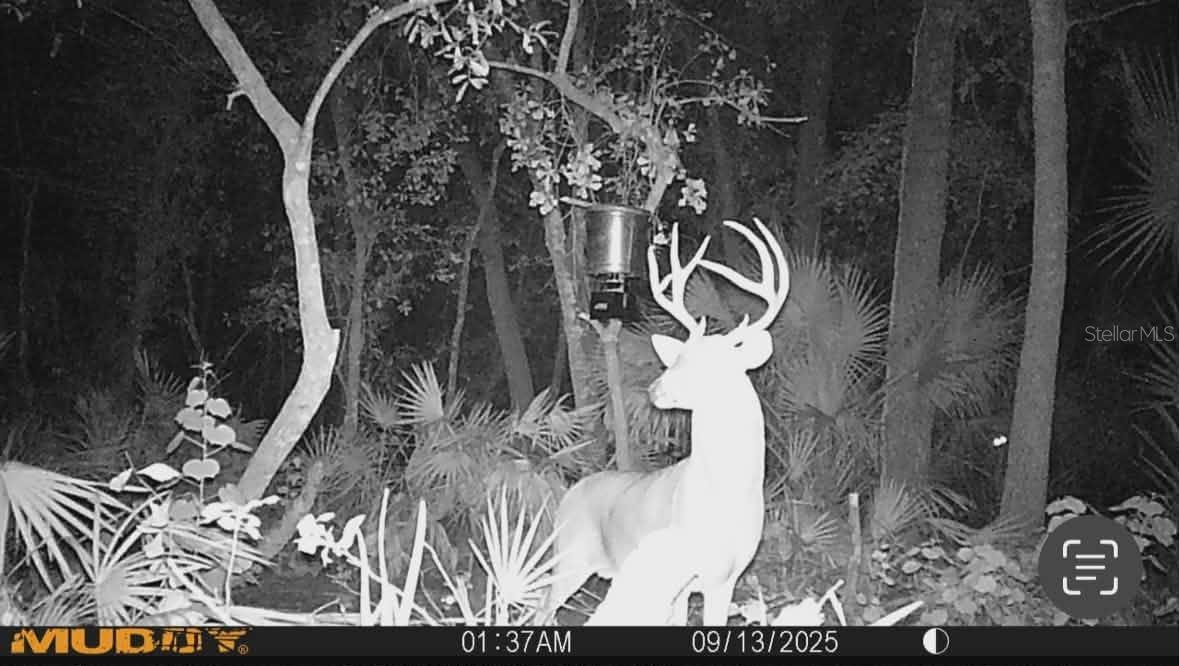 GILLETTE RD, ZOLFO SPRINGS, FL, 33890