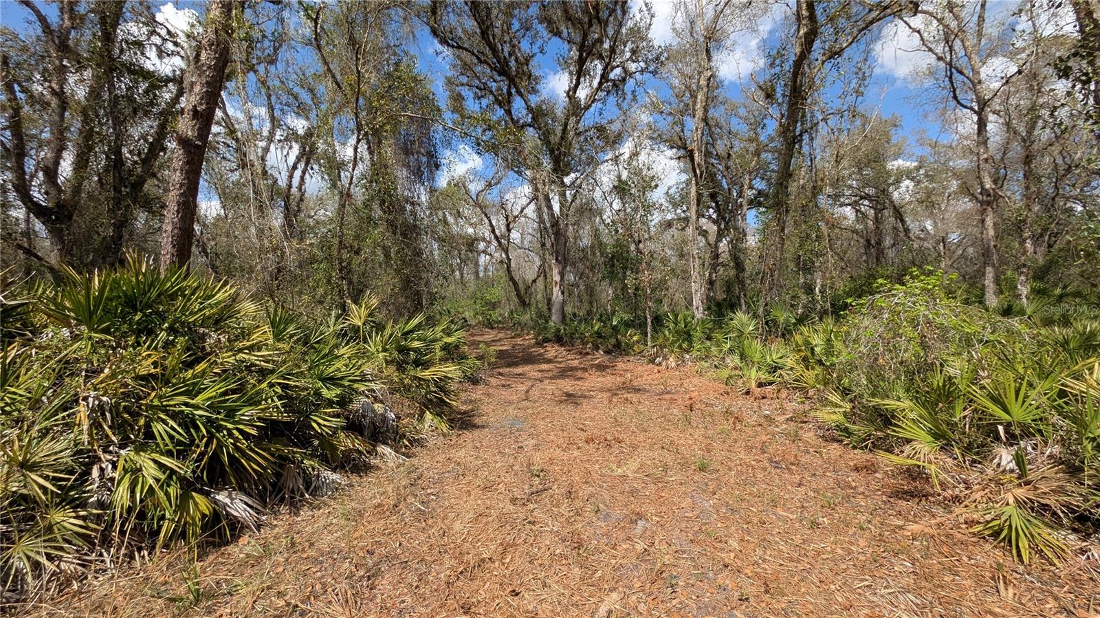 GILLETTE RD, ZOLFO SPRINGS, FL, 33890