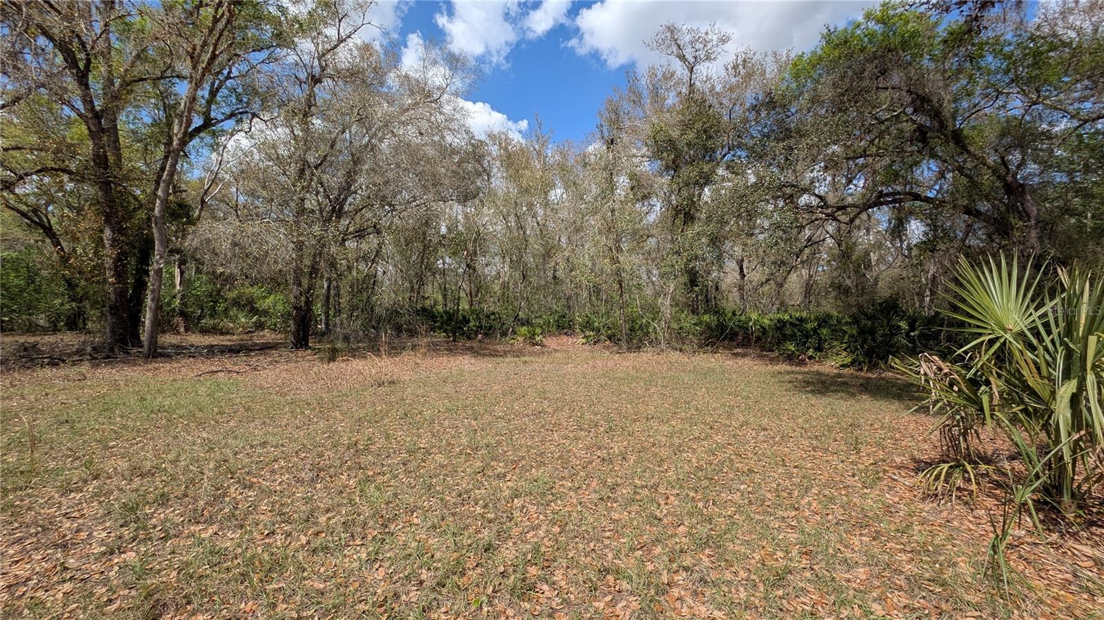 GILLETTE RD, ZOLFO SPRINGS, FL, 33890