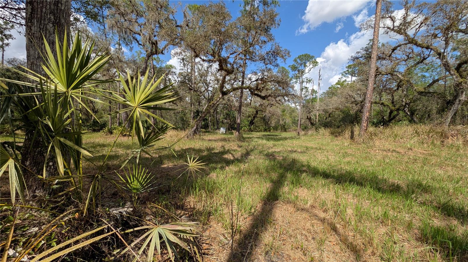 GILLETTE RD, ZOLFO SPRINGS, FL, 33890