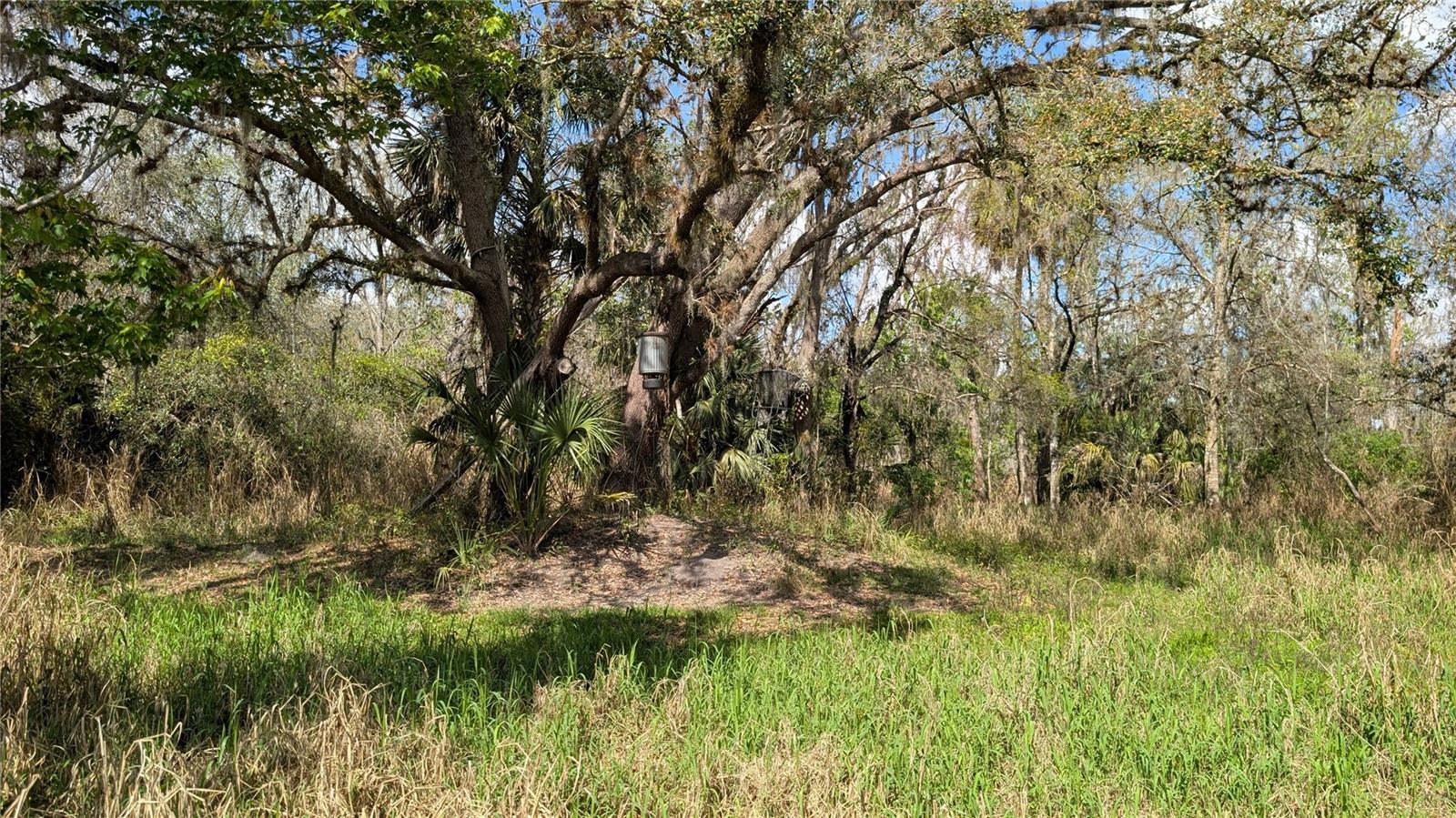 GILLETTE RD, ZOLFO SPRINGS, FL, 33890