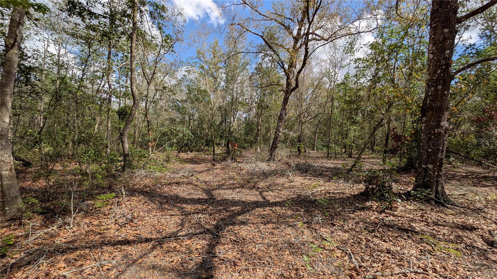GILLETTE RD, ZOLFO SPRINGS, FL, 33890