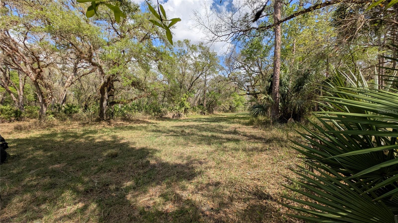 GILLETTE RD, ZOLFO SPRINGS, FL, 33890