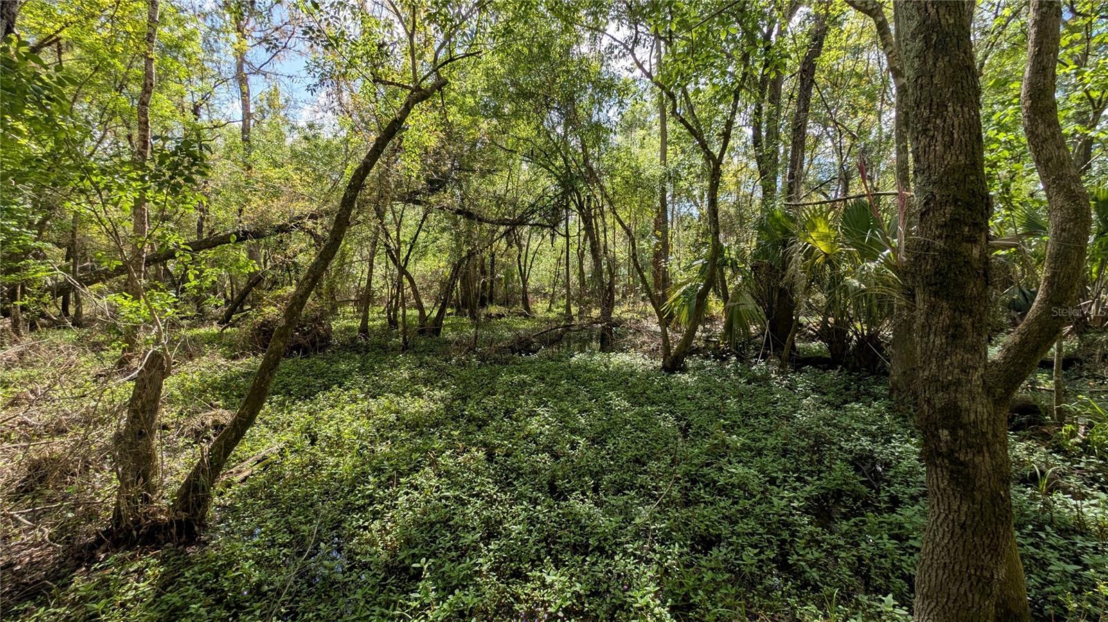 GILLETTE RD, ZOLFO SPRINGS, FL, 33890