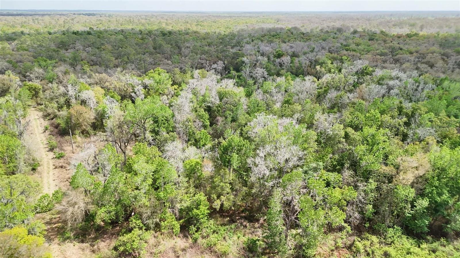 GILLETTE RD, ZOLFO SPRINGS, FL, 33890