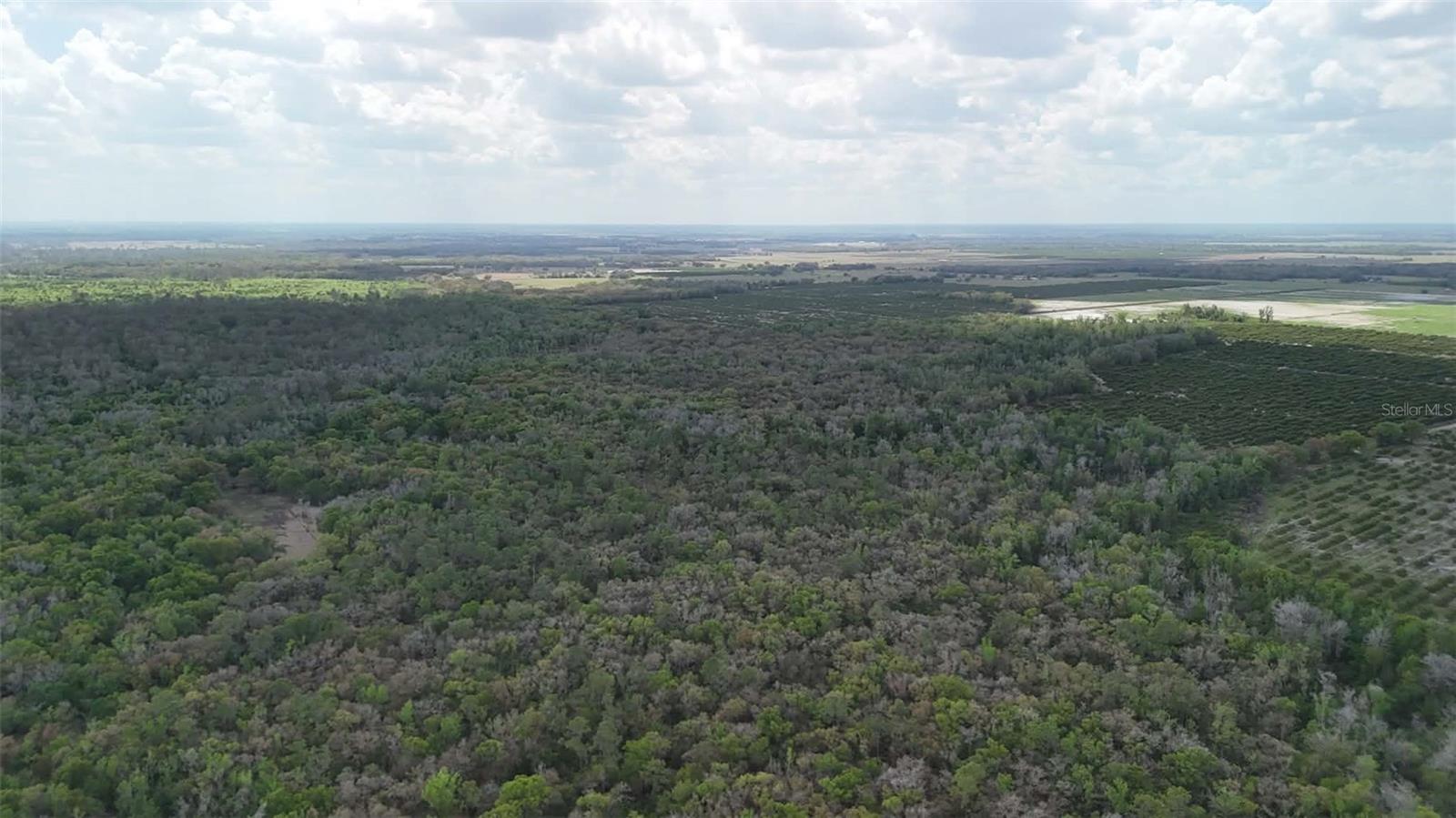 GILLETTE RD, ZOLFO SPRINGS, FL, 33890