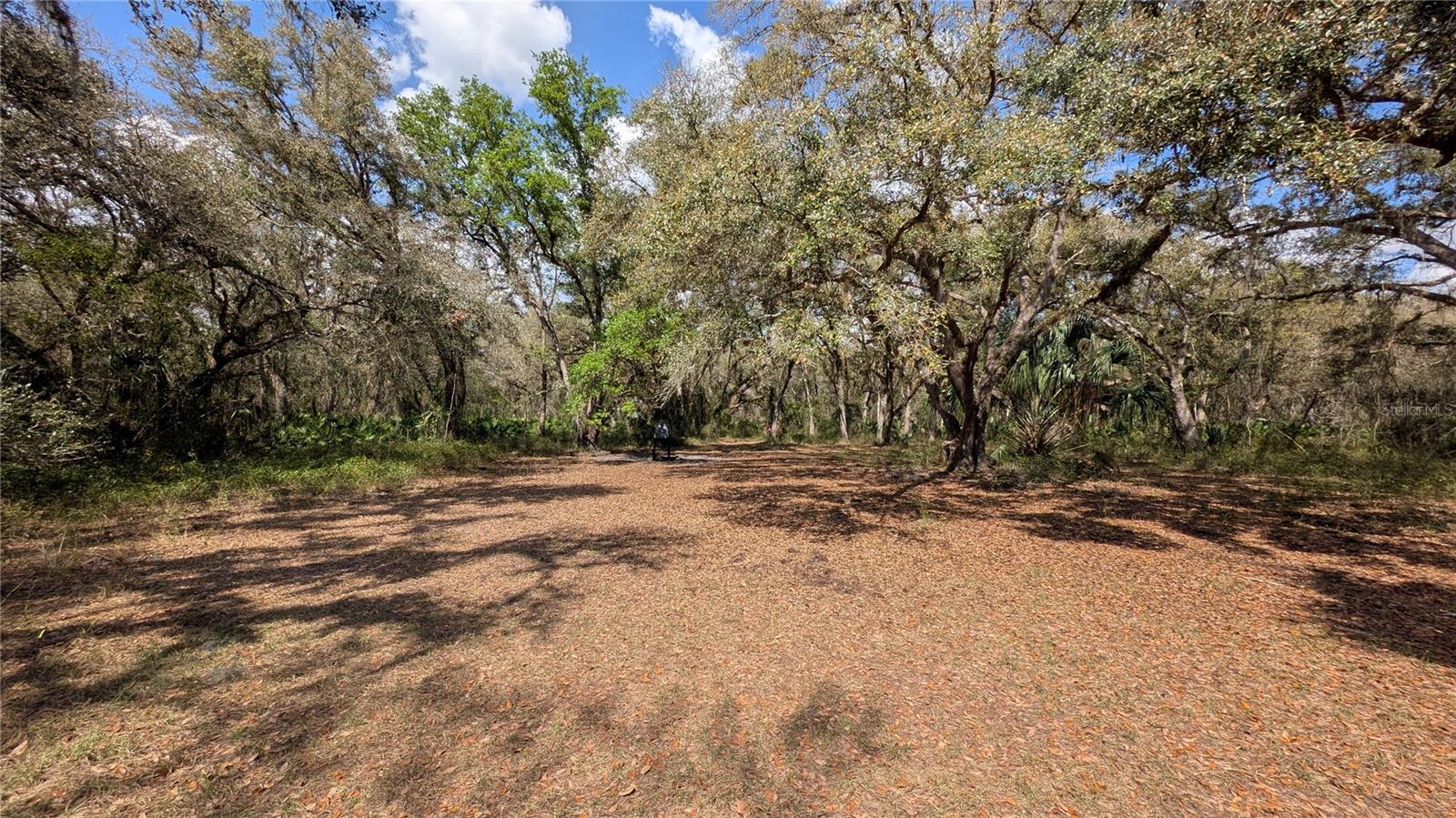GILLETTE RD, ZOLFO SPRINGS, FL, 33890