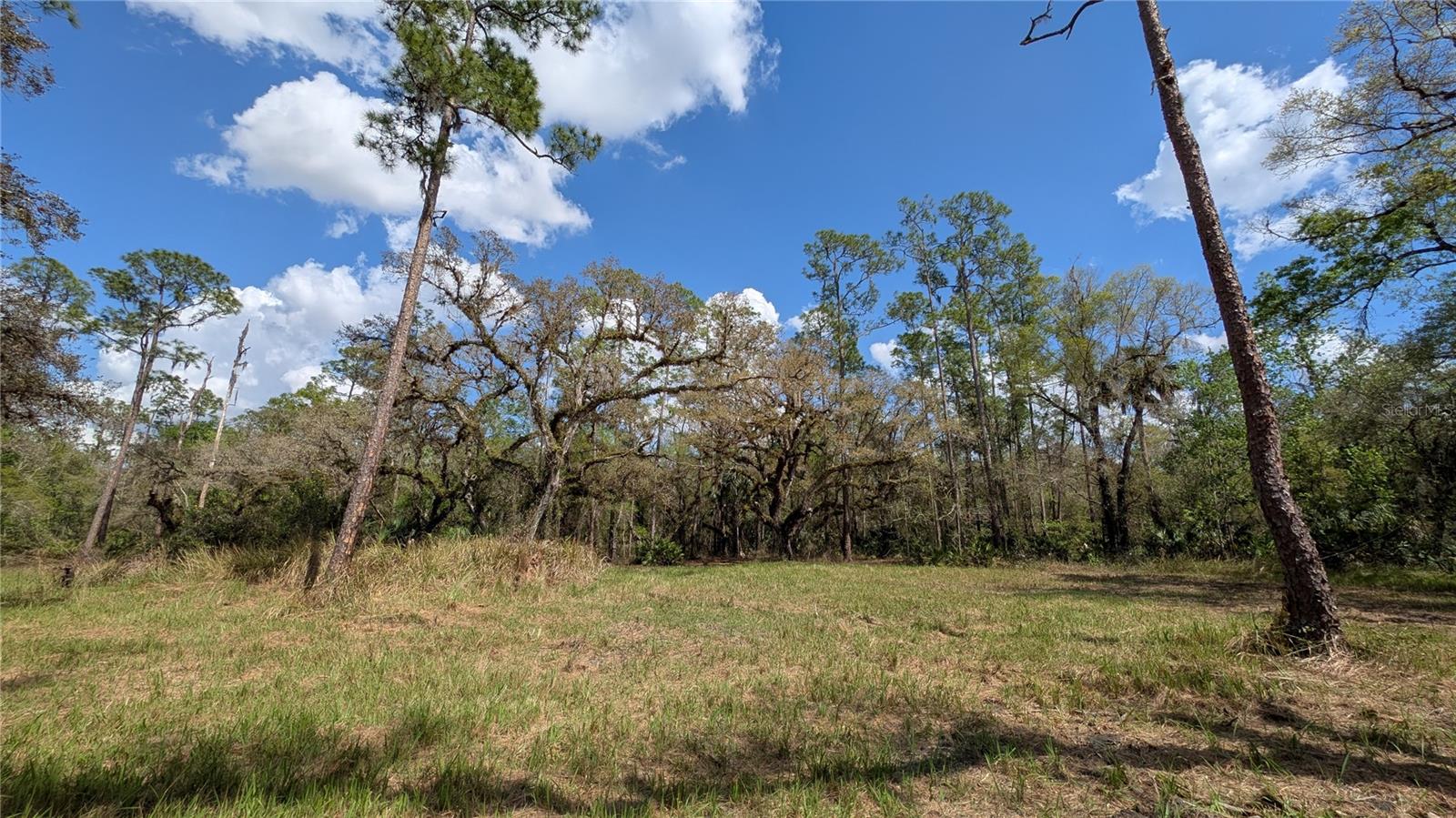 GILLETTE RD, ZOLFO SPRINGS, FL, 33890