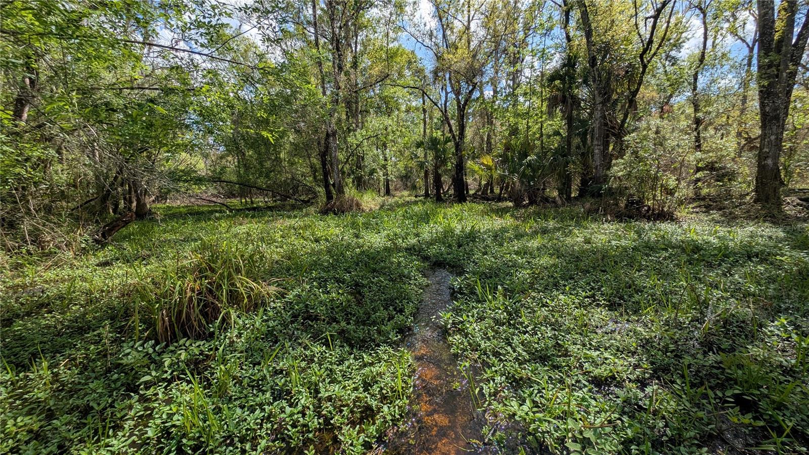 GILLETTE RD, ZOLFO SPRINGS, FL, 33890