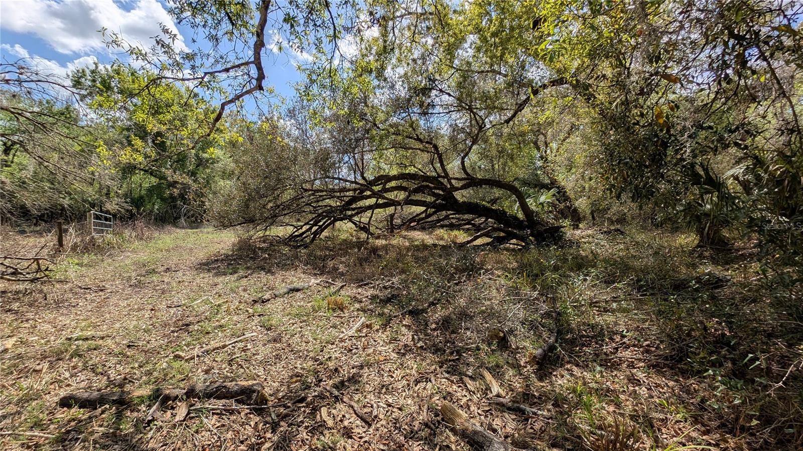 GILLETTE RD, ZOLFO SPRINGS, FL, 33890