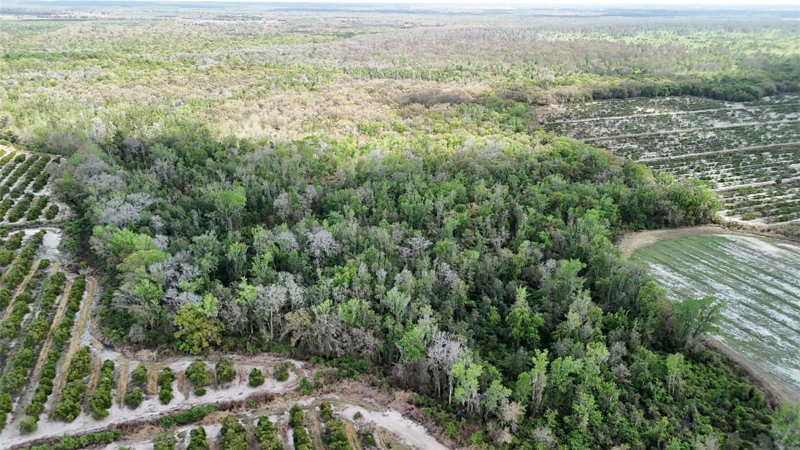 GILLETTE RD, ZOLFO SPRINGS, FL, 33890