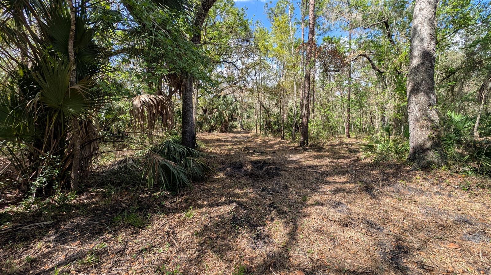 GILLETTE RD, ZOLFO SPRINGS, FL, 33890