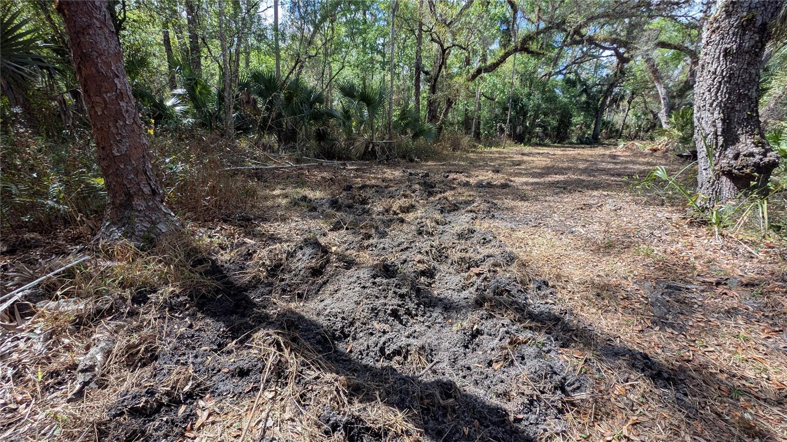 GILLETTE RD, ZOLFO SPRINGS, FL, 33890