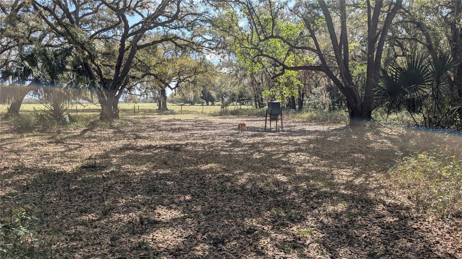 GILLETTE RD, ZOLFO SPRINGS, FL, 33890