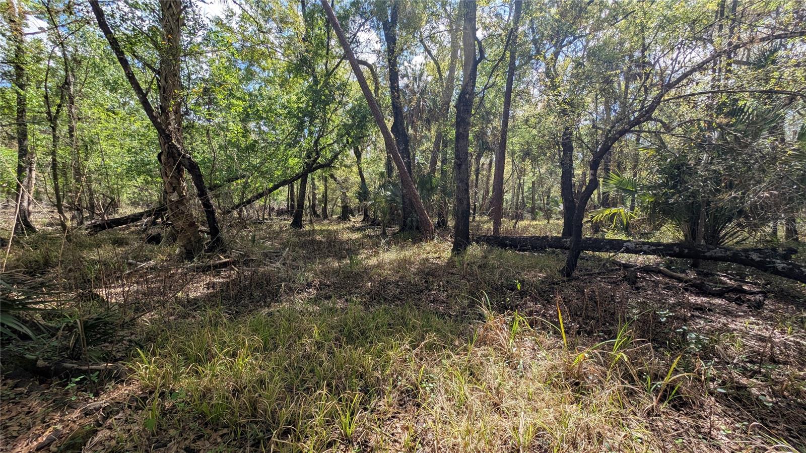 GILLETTE RD, ZOLFO SPRINGS, FL, 33890