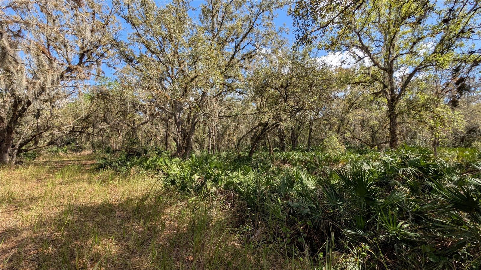 GILLETTE RD, ZOLFO SPRINGS, FL, 33890