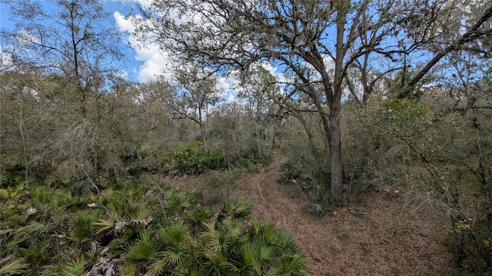 GILLETTE RD, ZOLFO SPRINGS, FL, 33890