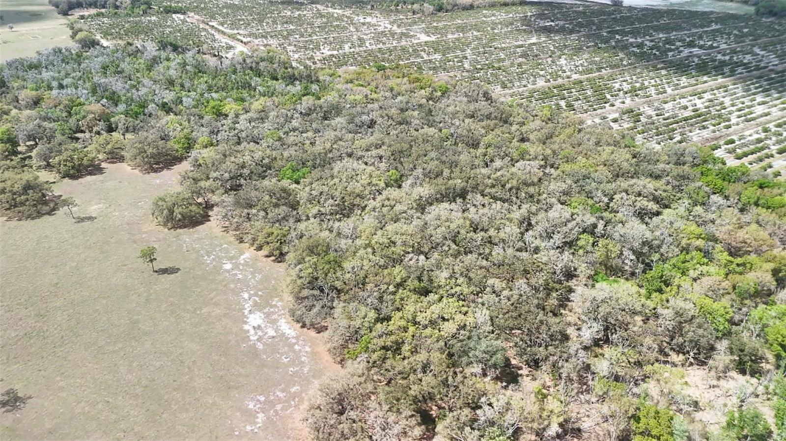 GILLETTE RD, ZOLFO SPRINGS, FL, 33890