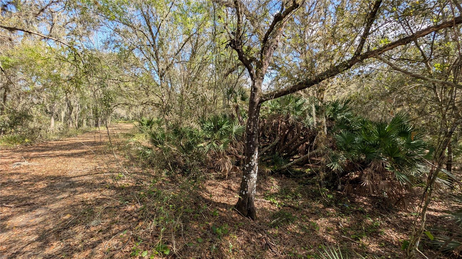 GILLETTE RD, ZOLFO SPRINGS, FL, 33890