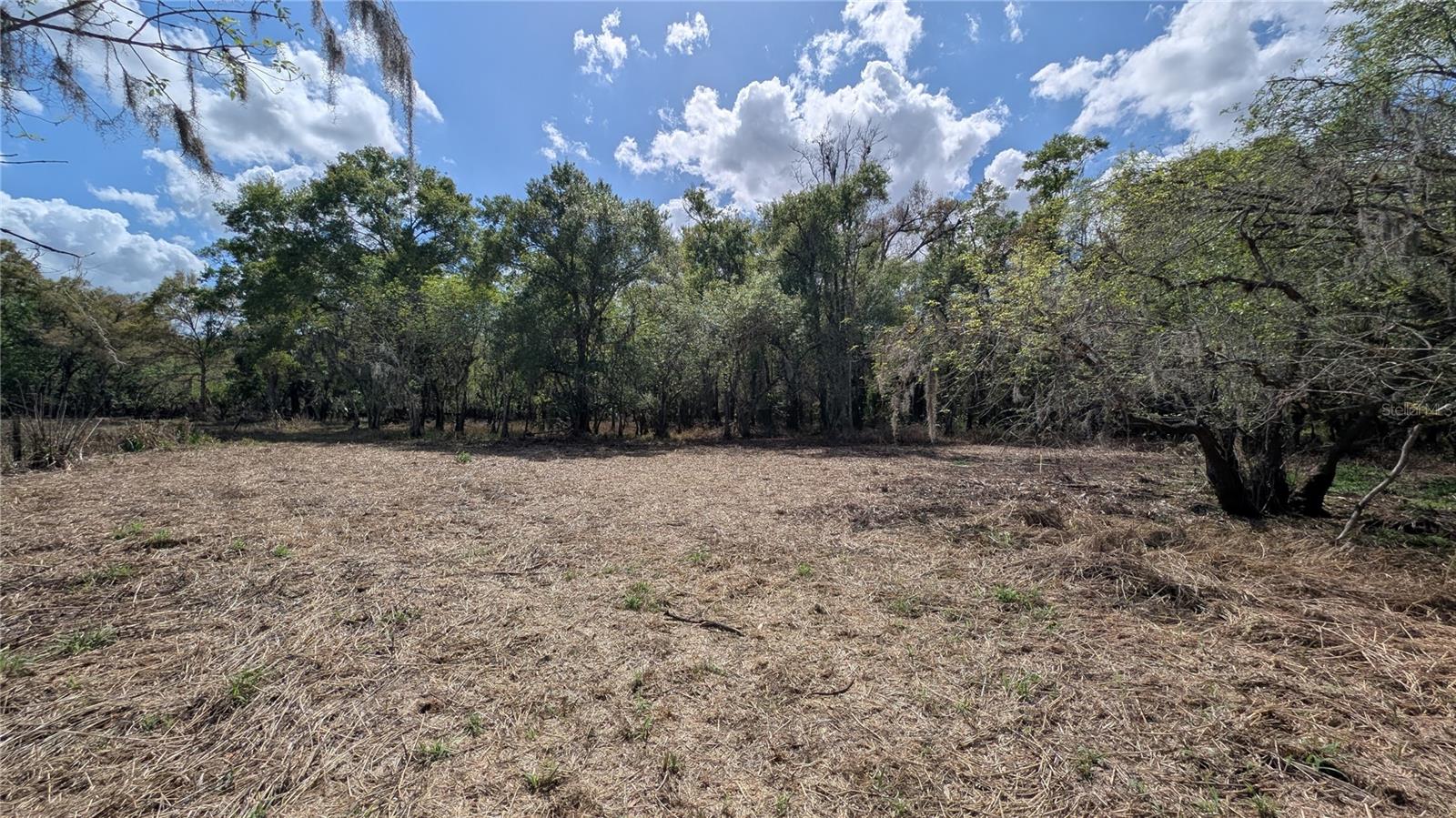 GILLETTE RD, ZOLFO SPRINGS, FL, 33890