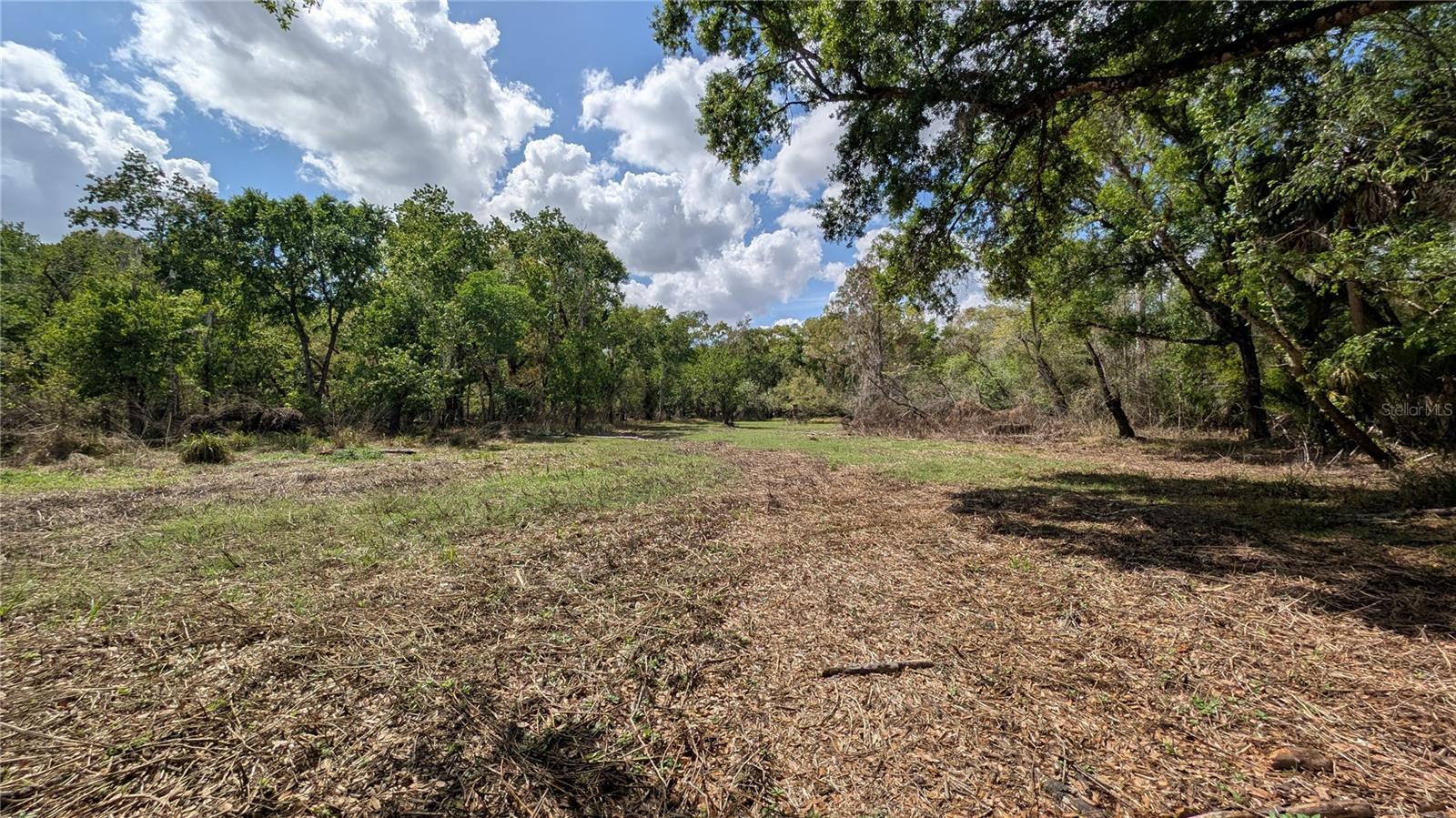 GILLETTE RD, ZOLFO SPRINGS, FL, 33890