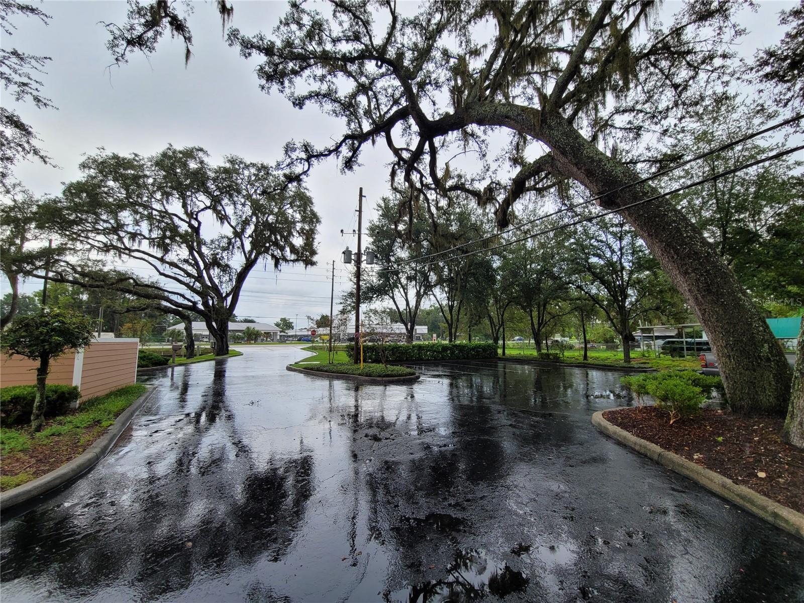 37310 PURE WATER WAY #Suite M, ZEPHYRHILLS, FL, 33542