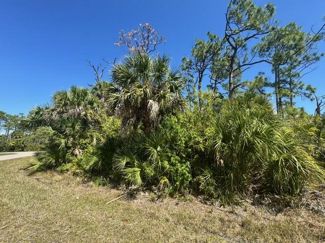 5102 HOPKINS AVE, PORT CHARLOTTE, FL, 33981