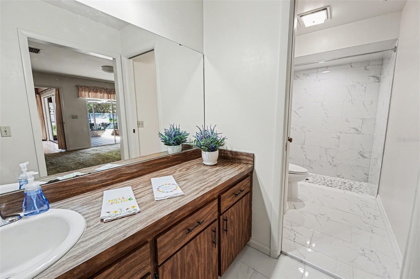 10414 RECLINATA LN, TAMPA, FL, 33618