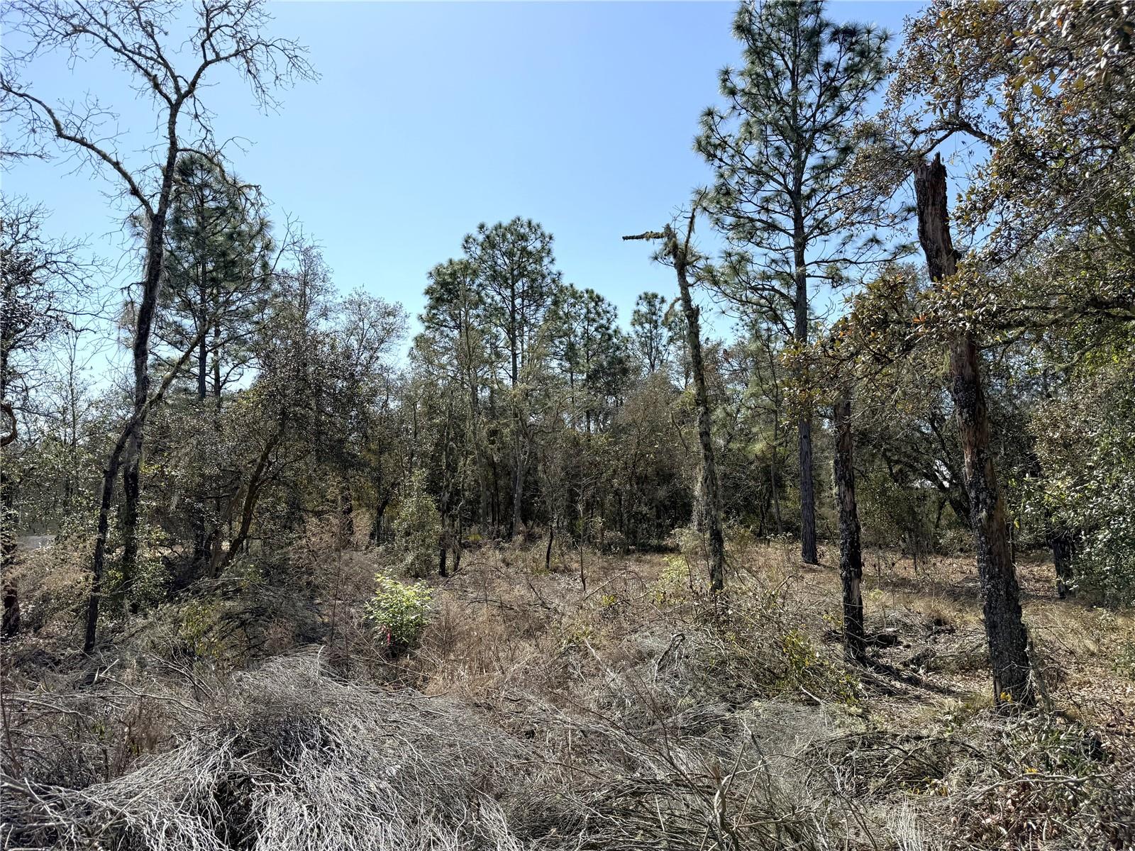 00 NE 67TH PL, WILLISTON, FL, 32696