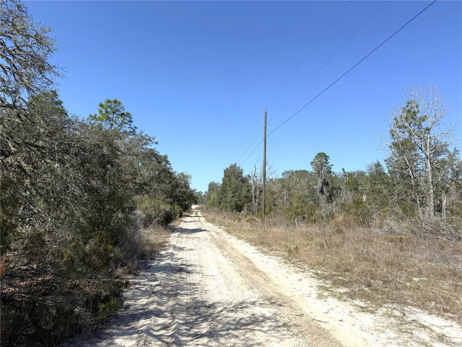 00 NE 67TH PL, WILLISTON, FL, 32696
